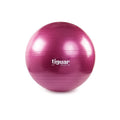 Tiguar safety plus ball 65 cm TI-SP0065S Accessories/Training equipment Your Sports Performance