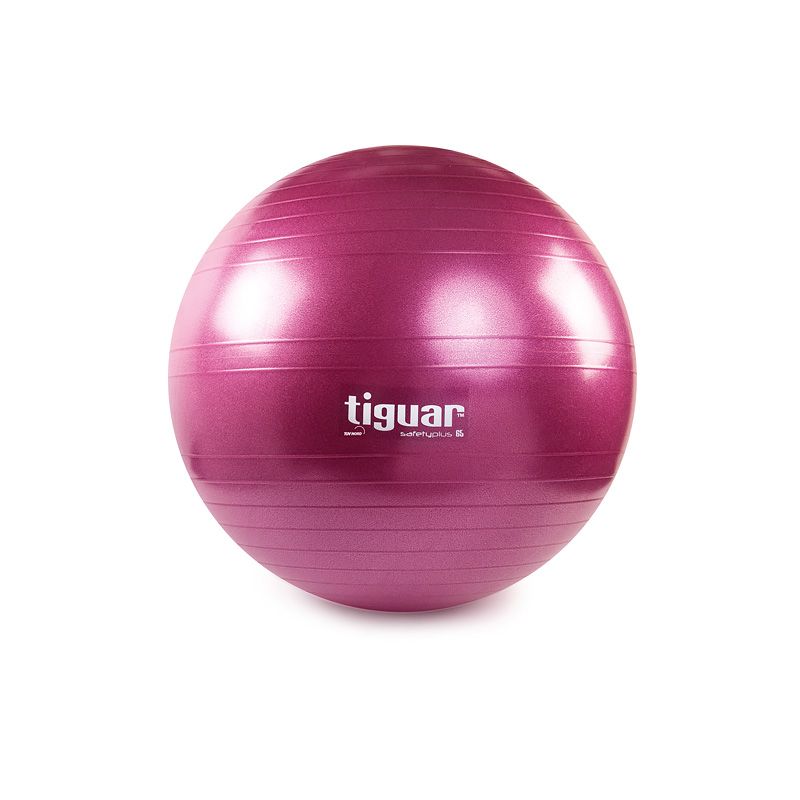 Tiguar safety plus ball 65 cm TI-SP0065S Accessories/Training equipment Your Sports Performance