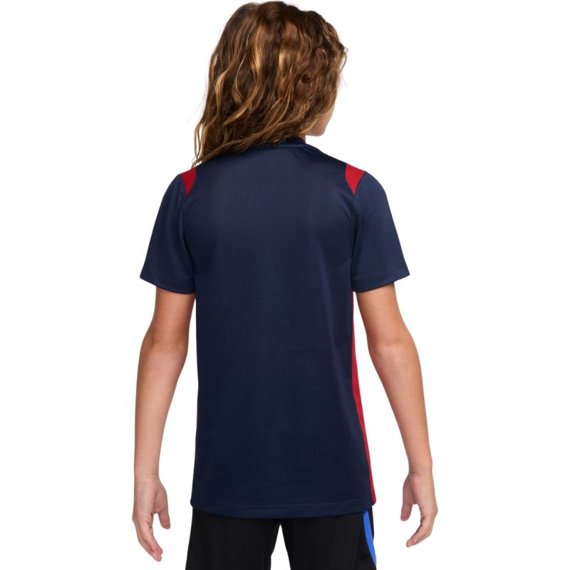 Nike Paris Saint-Germain Academy Pro Kids' T-Shirt Navy II1664 410