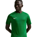 Men's Nike Dri-Fit Park VIII T-shirt green HV8173 302 To be categorized Your Sports Performance