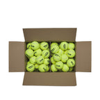 Wilson Triniti Club WR8201501001 tennis ball Accessories/Balls/Tennis Your Sports Performance