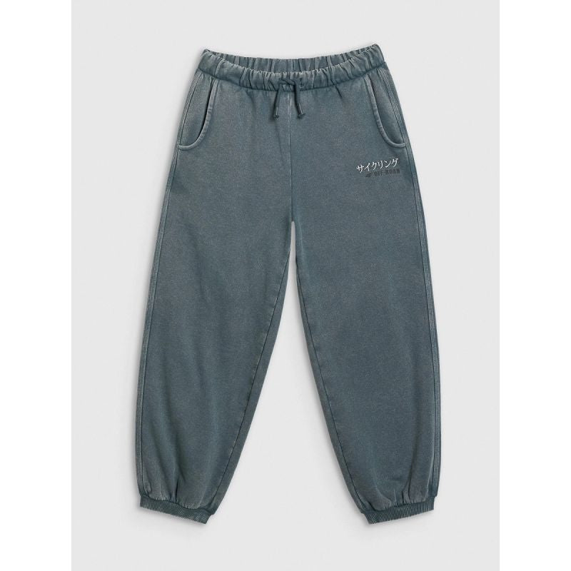 Boys' jogger sweatpants 4F 4FJRAW25TTROM1528-46S 4f