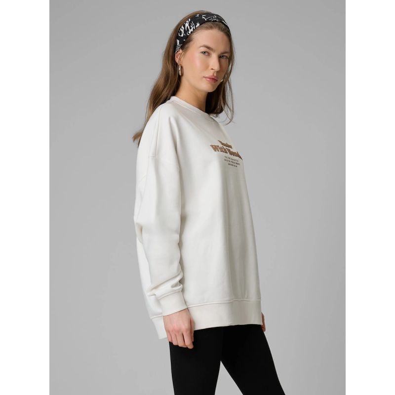 Women's oversize sweatshirt without hood 4F 4FRSS26TSWSF2993-11S 4f