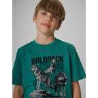 Boy's regular printed T-shirt 4F 4FJKAW26TTSHM4455-46S