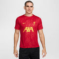 Nike Liverpool FC Academy Pro SStop M T-shirt FN9653-688 Clothing/Football Nike