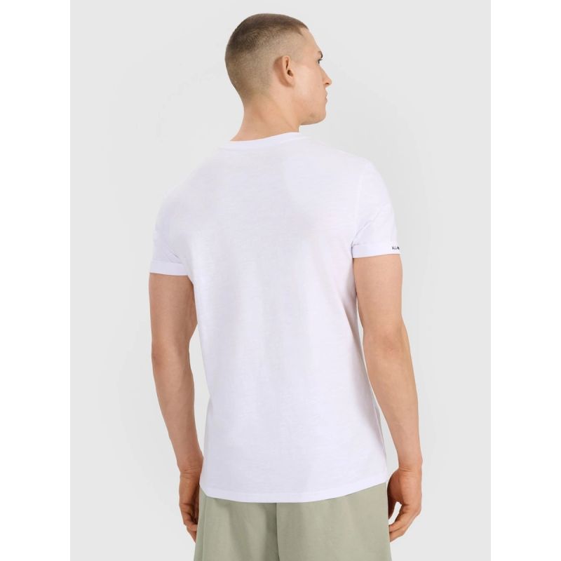 Men's regular plain T-shirt 4F 4FRSS25TTSHM3041-10S 4f