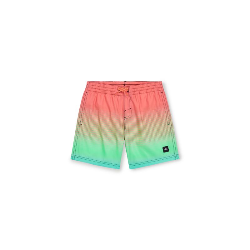 O'Neill Jack Cali Gradient 14'' Swim Shorts Jr 92800613570 Clothing/Swimming/ONeill Your Sports Performance