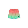 O'Neill Jack Cali Gradient 14'' Swim Shorts Jr 92800613570 Clothing/Swimming/ONeill Your Sports Performance