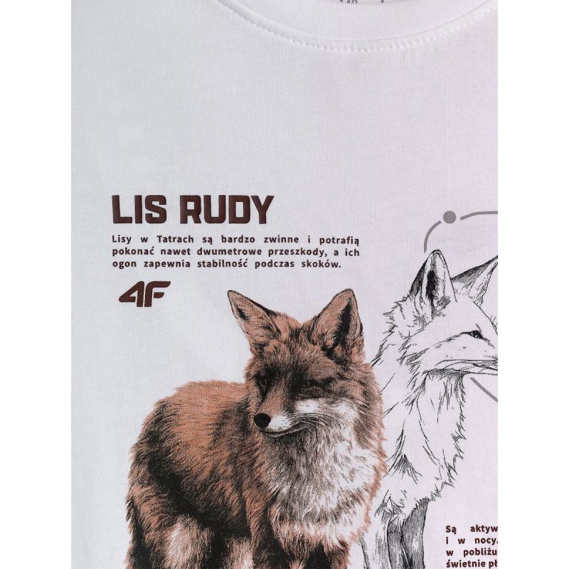 Boy's regular printed T-shirt 4F 4FJKAW26TTSHM4452-10S