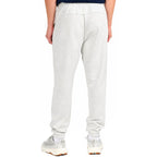 Men's trousers 4F CAS M1673 cool light gray melange 4FWMM00TTROM1673 27M