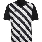T-shirt adidas Entrada 22 Graphic Jersey Jr HF0123 Clothing/Football Adidas