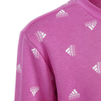 Sweatshirt adidas Bluv Swt Jr IC5573 Clothing/Lifestyle Adidas