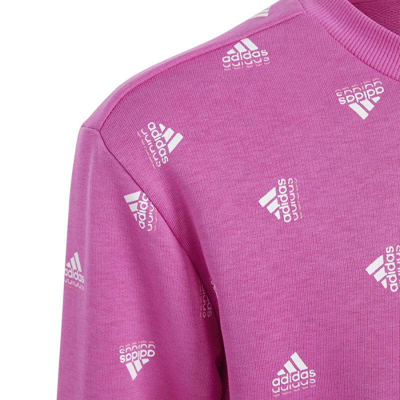 Sweatshirt adidas Bluv Swt Jr IC5573 Clothing/Lifestyle Adidas