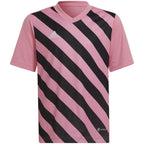 Adidas Entrada 22 Graphic Jersey Jr HC2632 Clothing/Training Adidas