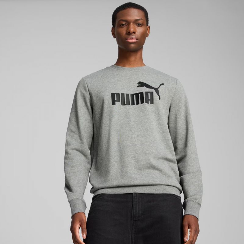 Puma ESS No.1 Logo Crew TR M sweatshirt 682560 03 Clothing/Lifestyle Puma