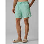 Men's boardshorts 4F 4FRSS26UBDSM260-90A 4f