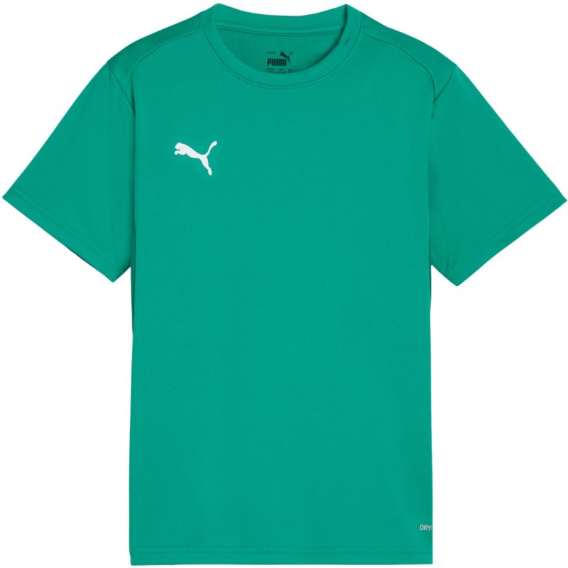 Puma TeamGoal Jersey for kids green 658637 05 Puma