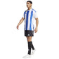 Adidas Striped 24 JSY M T-shirt IW2144 Clothing/Football Adidas