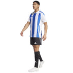 Adidas Striped 24 JSY M T-shirt IW2144 Clothing/Football Adidas