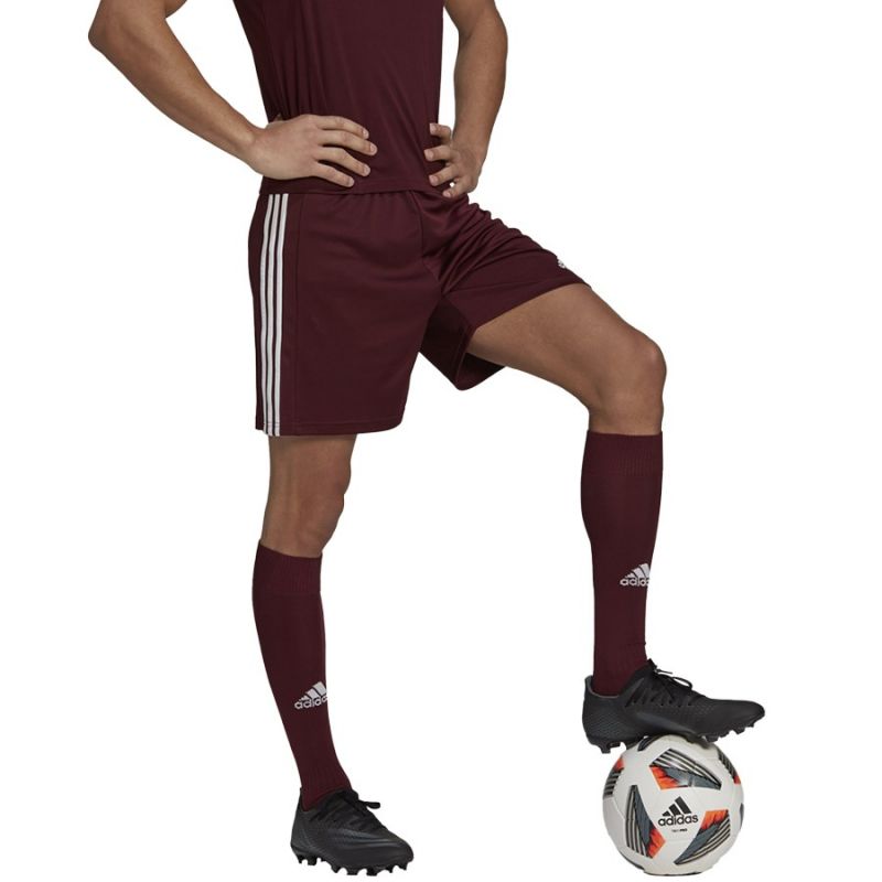 Adidas Squadra 21 Short M GN8083 Clothing/Football Adidas