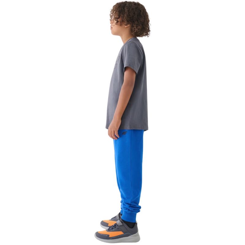Trousers 4F M0810 Jr 4FJWMM00TTROM0810 36S Clothing/Lifestyle/Trousers, shorts/4F 4F