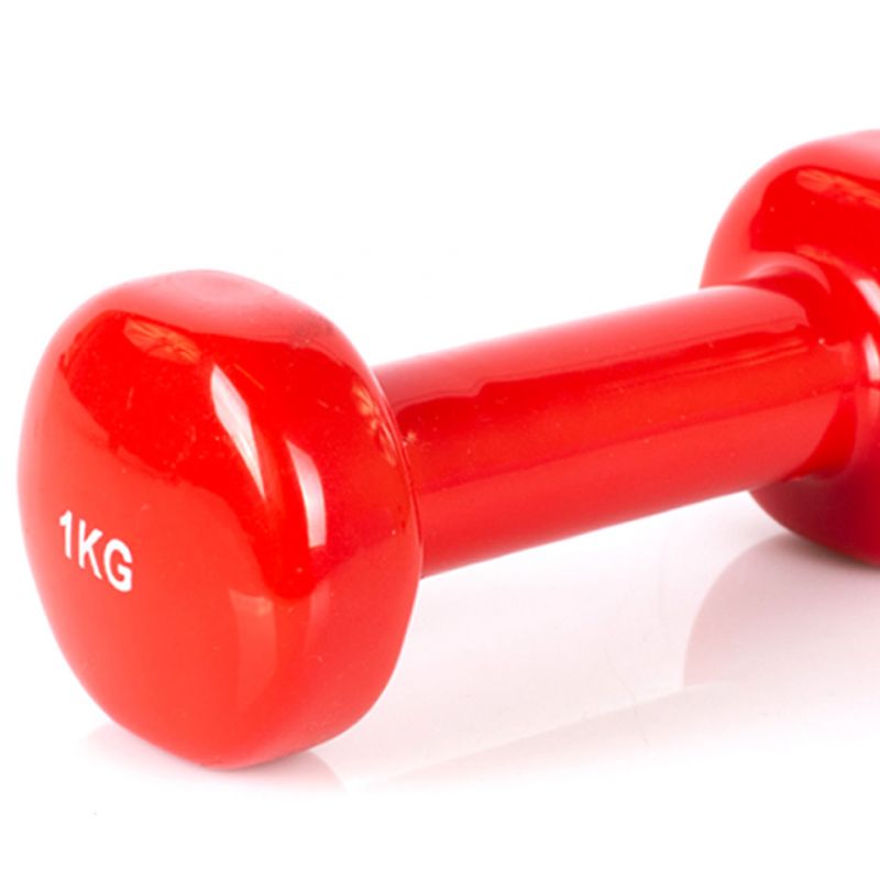 Vinyl dumbbell PROfit 0.5kg DK 4102 Accessories/Training equipment Your Sports Performance