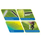 Schildkröt Funsports 970985 Football Goal Children Freestanding In preparation Your Sports Performance