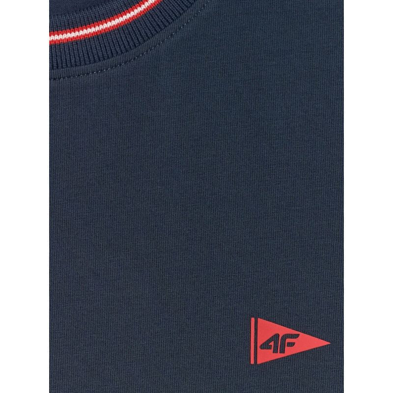 Men's regular plain T-shirt 4F 4FRSS26TTSHM3997-31S