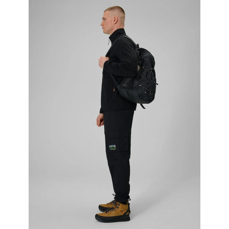 Men's casual cargo pants 4F 4FRAW25TTROM1690-20S 4f