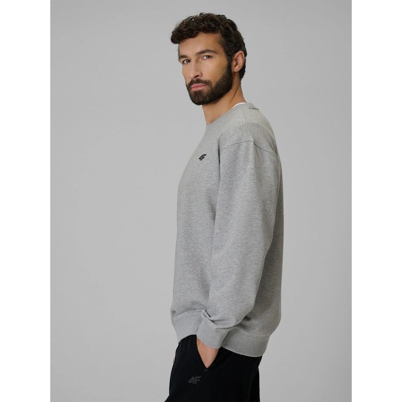 Men's regular sweatshirt without hood 4F 4FRMM00TSWSM3059-27M