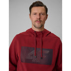 Men's regular hooded sweatshirt 4F 4FRSS26TSWSM2975-20S 4f