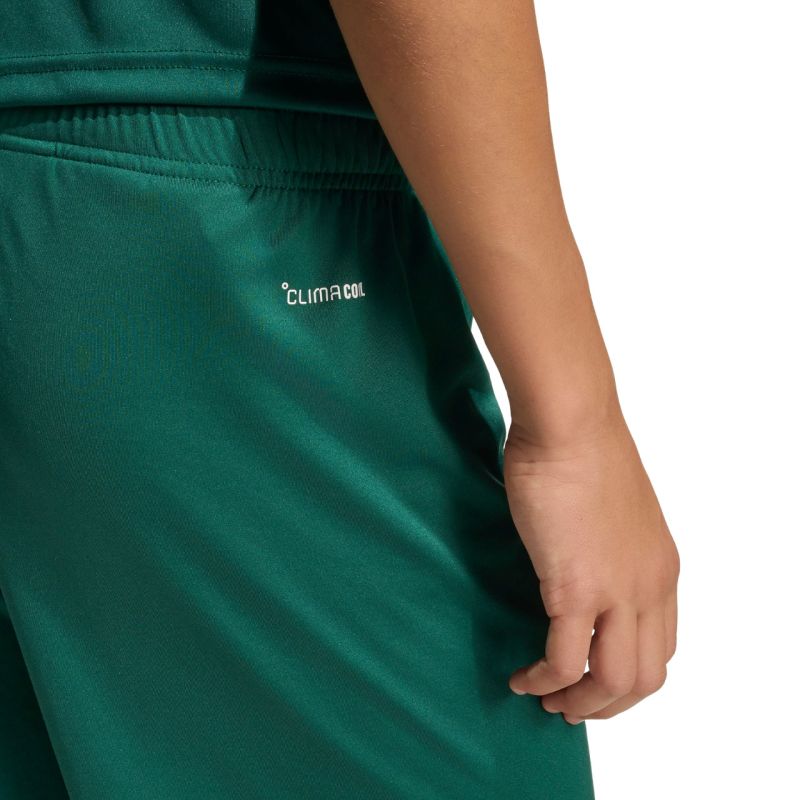 adidas Entrada 26 Kids' Shorts Green KE9831