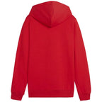 Puma Team Goal Casuals Hoddy Jr sweatshirt 658619 01 Clothing/Training Puma