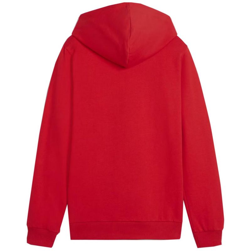 Puma Team Goal Casuals Hoddy Jr sweatshirt 658619 01 Clothing/Training Puma