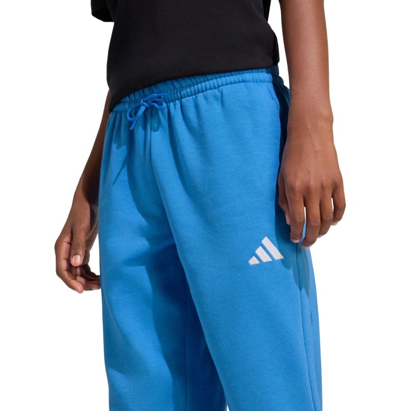 adidas Essentials kids' pants blue KS0379