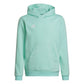 Adidas Entrada 22 Hoody JR HC5066 sweatshirt Clothing/Training Adidas
