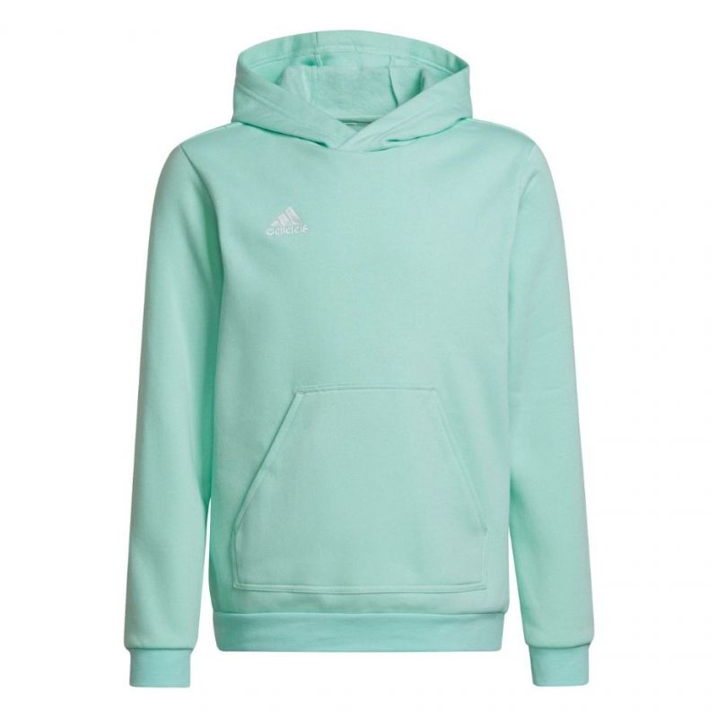 Adidas Entrada 22 Hoody JR HC5066 sweatshirt Clothing/Training Adidas