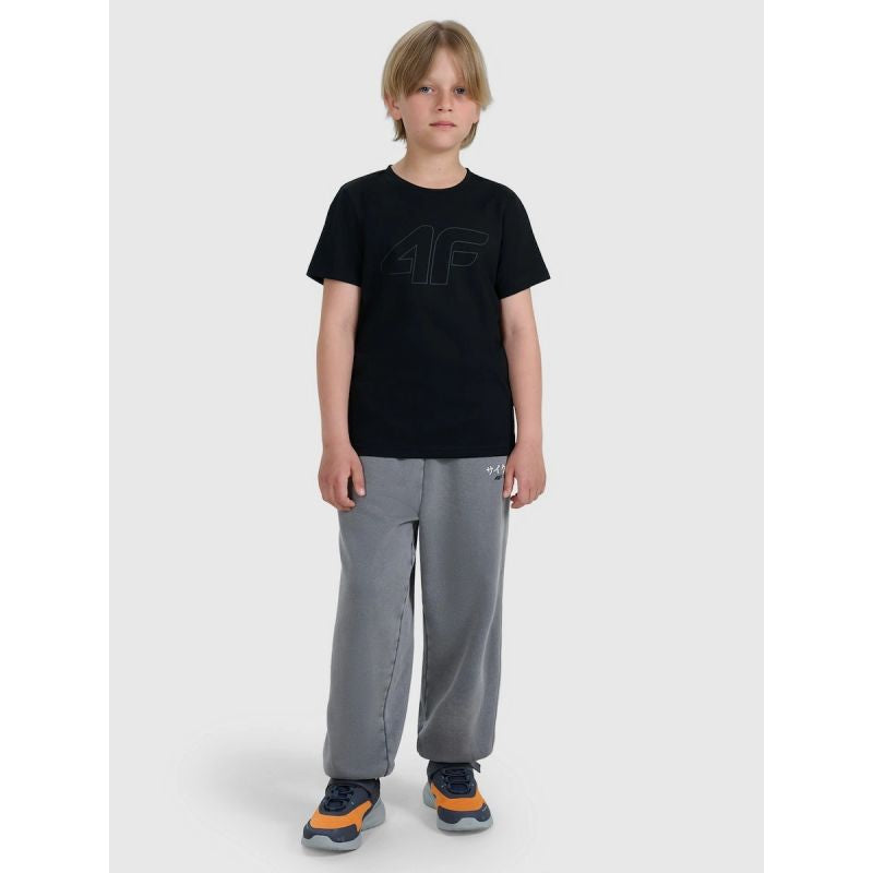 Boy's regular printed T-shirt 4F 4FJRMM00TTSHM3255-20S 4f