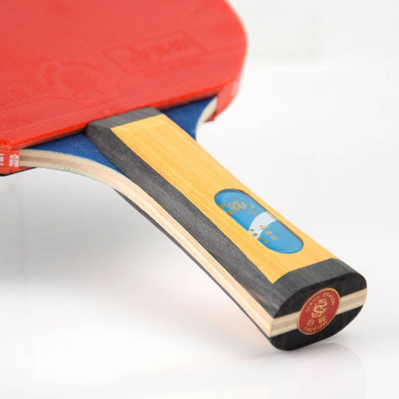 Giant Dragon 4★ N8042 Table Tennis Racket Accessories/Rackets and accessories Your Sports Performance