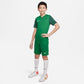 Nike Trophy V JSY Jr T-shirt DR0942-302 Clothing/Football Nike