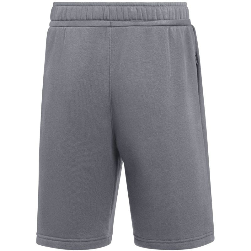 Nike Park 26 Fleece Kids Shorts Gray IB1242 071