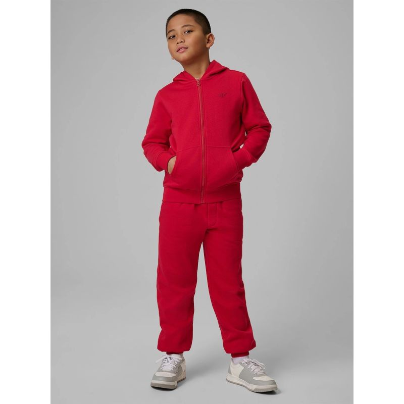 Boy's regular hooded sweatshirt 4F 4FJRSS26TSWSM2749-62S 4f
