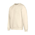 Unisex Vibe Crew Sweatshirt (Almond)