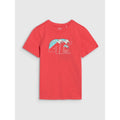 T-shirt 4F Jr 4FJWSS25TTSHM1917-63S Clothing/Lifestyle/T-shirts/4F 4F