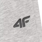 Shorts 4F CAS M543 M 4FWMM00TSHOM543 27M Sport/Clothing Your Sports Performance