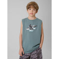 Boy's regular sleeveless T-shirt with print 4F 4FJRSS26TSLEM354-46S 4f