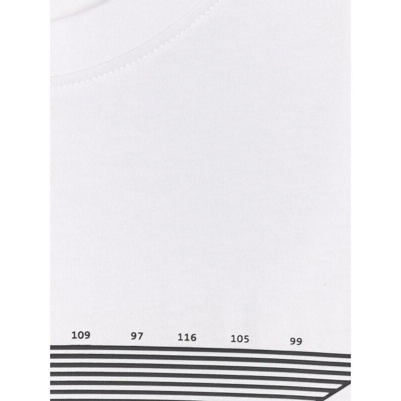 Men's regular printed T-shirt 4F 4FRAW25TTSHM3259-10S 4f