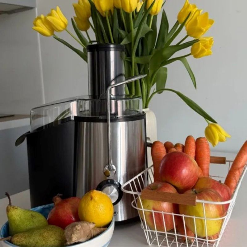 MPM MSO-18M 1000W juicer with steel mesh filter AGD - Produkty/Sokowirówki Your Sports Performance