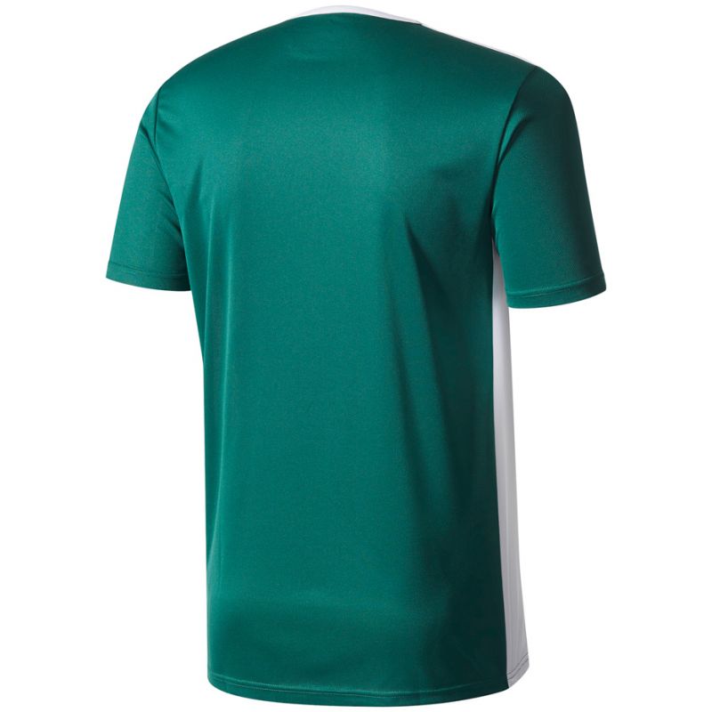 T-shirt adidas Entrada 18 Jr. CD8358 Clothing/Football Adidas