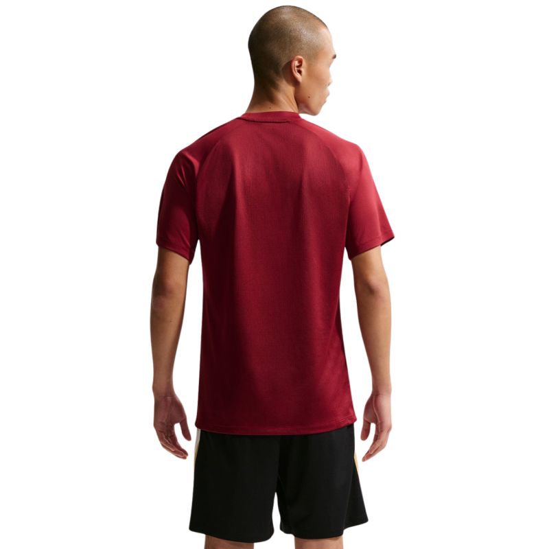 Nike Dri-Fit Park VIII Men's T-Shirt Burgundy HV8173 677 To be categorized Your Sports Performance